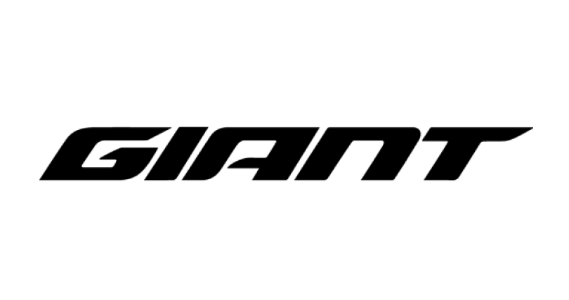 giant cycle service at home mumbai